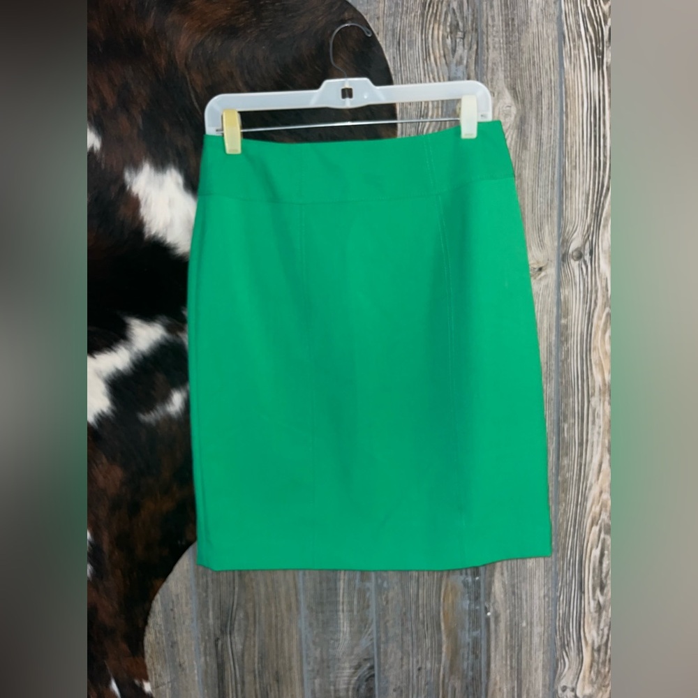 Worthington size 8 Elegant Green Skirt nwot